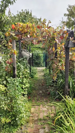Garden photo 2